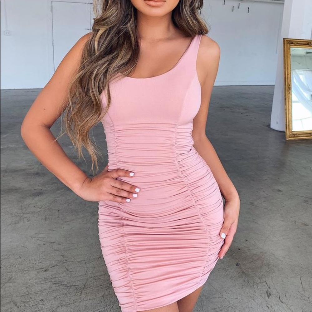 💘NWT TIGER MIST SANTA CLARA DRESS IN BLUSH💘